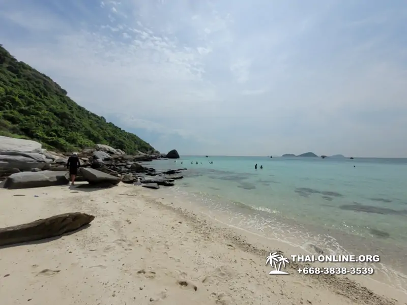 Pattaya Bay Cruise экскурсия на острова фото 113
