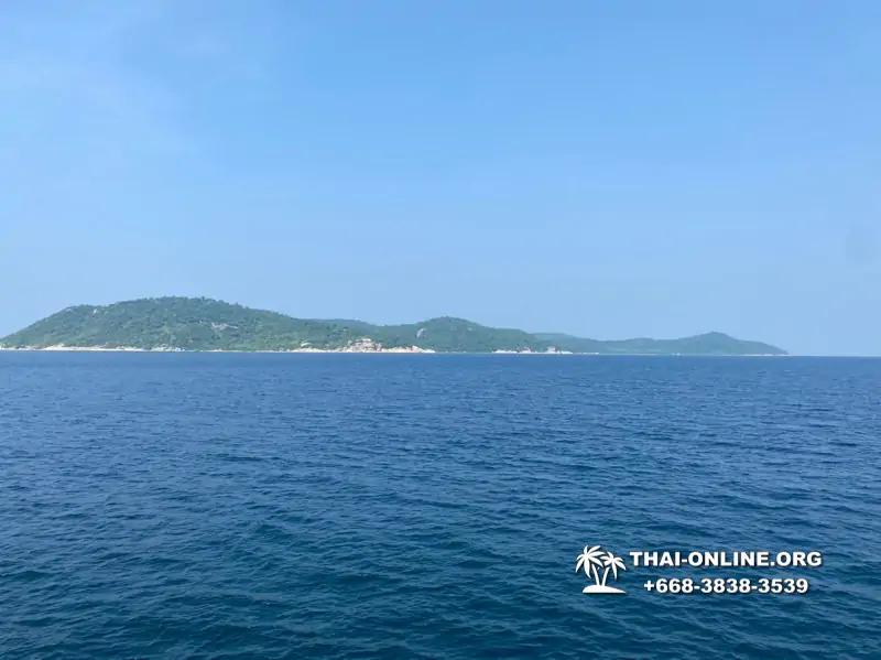 Pattaya Bay Cruise экскурсия на острова фото 110