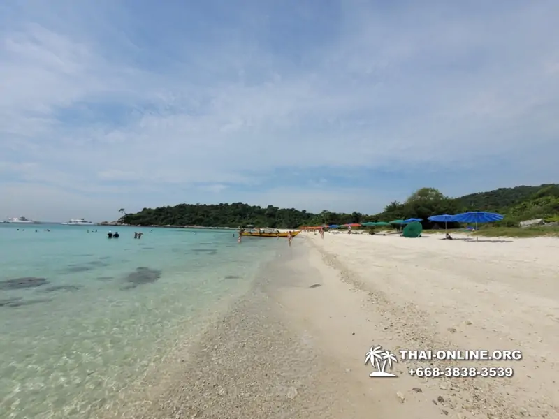 Pattaya Bay Cruise экскурсия на острова фото 124