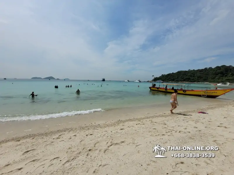 Pattaya Bay Cruise экскурсия на острова фото 111
