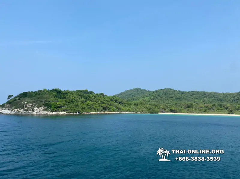 Pattaya Bay Cruise экскурсия на острова фото 115