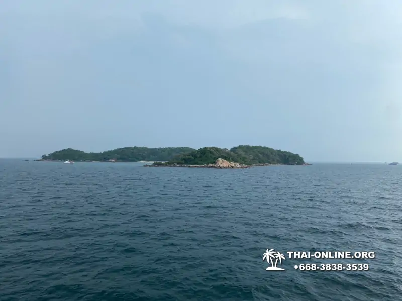 Pattaya Bay Cruise экскурсия на острова фото 140