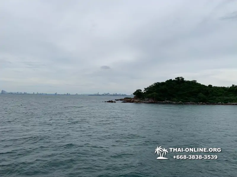 Pattaya Bay Cruise экскурсия на острова фото 119