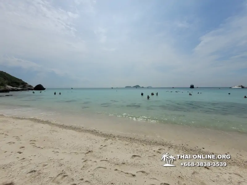 Pattaya Bay Cruise экскурсия на острова фото 135