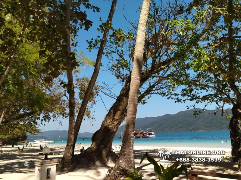 Экскурсия Seven Countries из Паттайи на Ко Чанг с отелем Coconut Beach Resort - фото тура 1