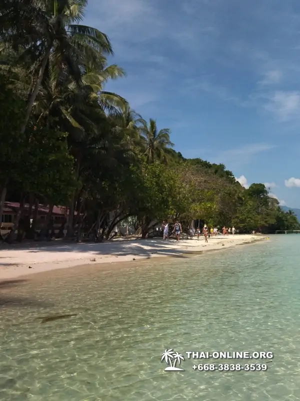 Экскурсия Seven Countries из Паттайи на Ко Чанг с отелем Coconut Beach Resort - фото тура 2