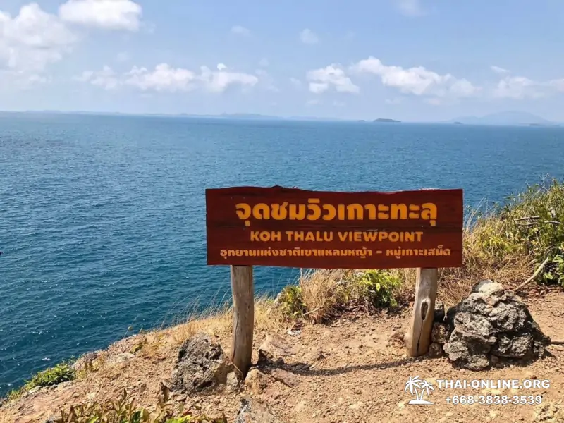 Морское Дискавери экскурсия в Паттайе Таиланде - фото 103