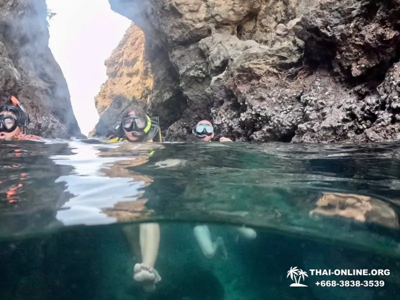 Морское Дискавери экскурсия в Паттайе Таиланде - фото 118