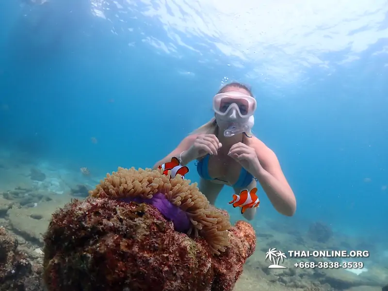 Подводная Одиссея тур Паттайя Тайланд фото 133