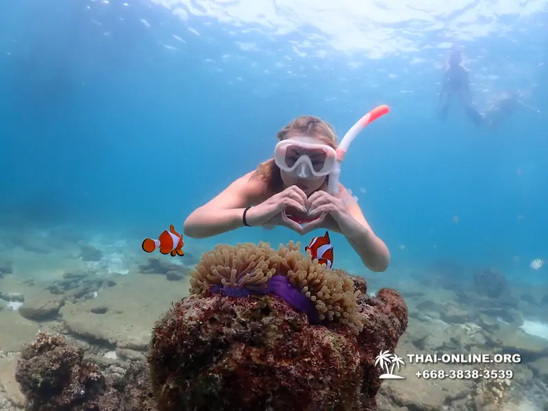 Экскурсия Подводная Одиссея в Паттайе Таиланд фото 108