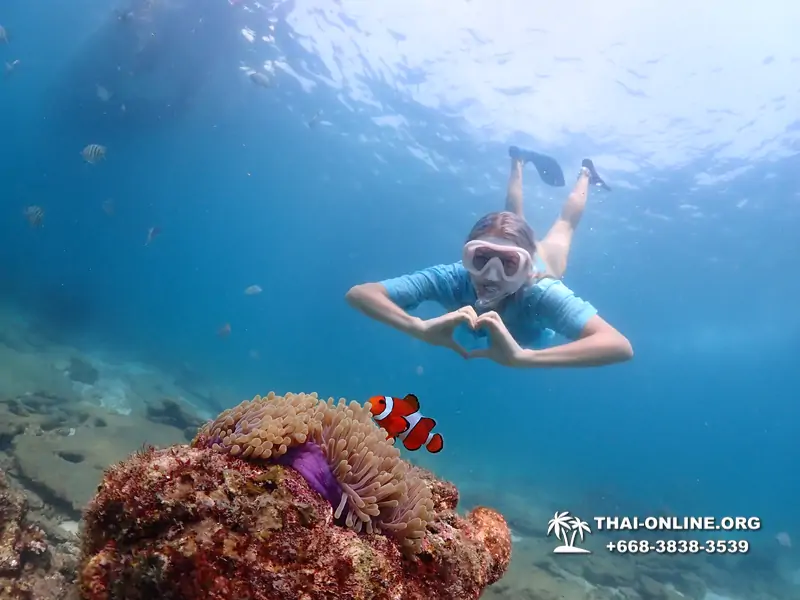 Подводная Одиссея тур Паттайя Тайланд фото 122