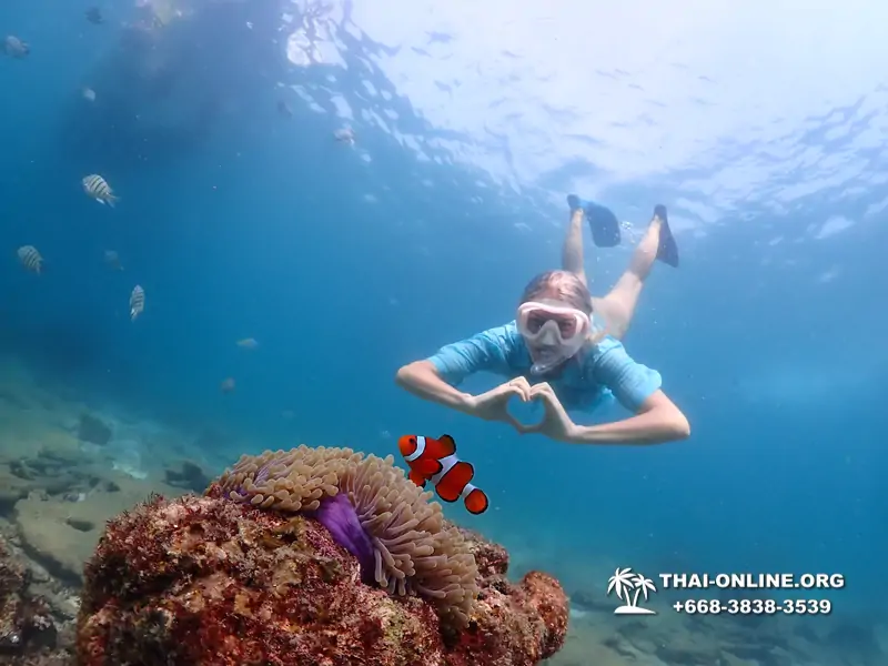 Подводная Одиссея тур Паттайя Тайланд фото 139