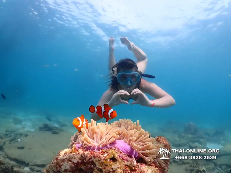 Подводная Одиссея тур Паттайя Тайланд фото 137