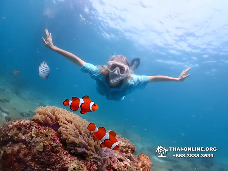 Подводная Одиссея тур Паттайя Тайланд фото 121