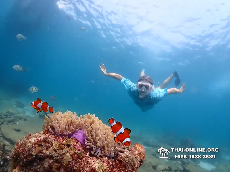 Подводная Одиссея тур Паттайя Тайланд фото 113