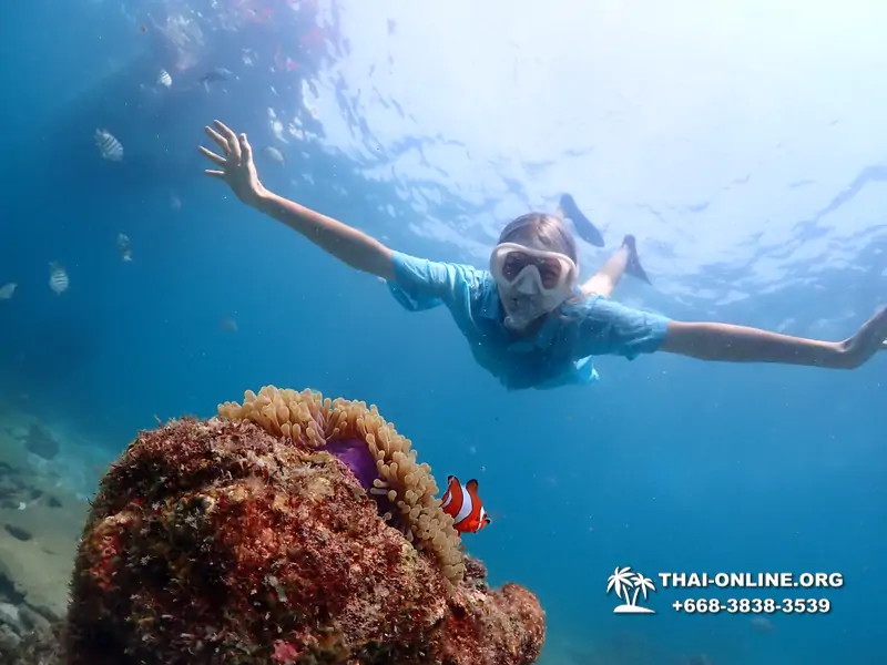 Подводная Одиссея тур Паттайя Тайланд фото 125