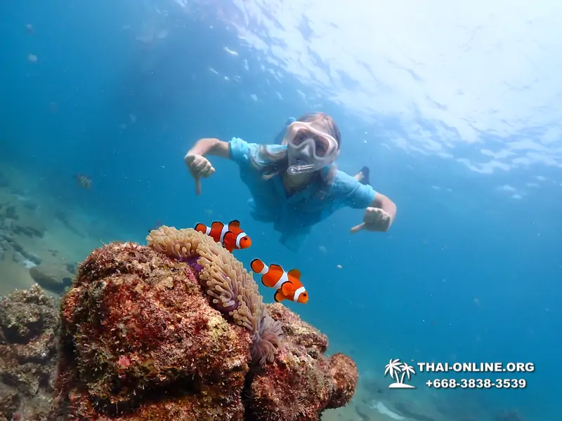 Подводная Одиссея тур Паттайя Тайланд фото 10