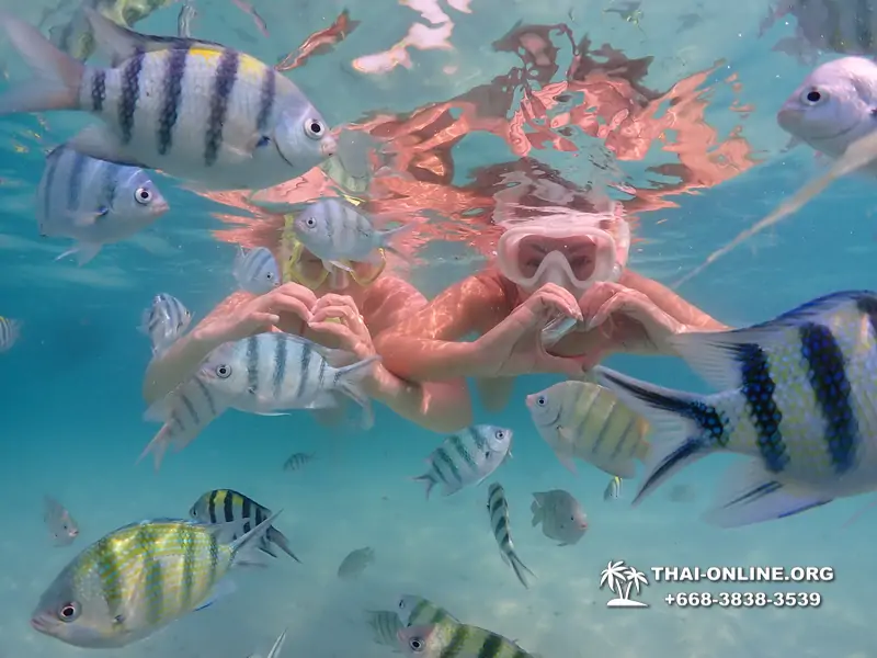 Подводная Одиссея тур Паттайя Тайланд фото 2