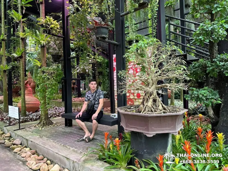 Тропический сад Нонг Нуч экскурсия в Паттайе Тайланде - фото 103