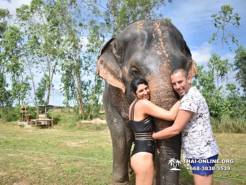 Заповедник слонов Elephant Jungle Sanctuary тур в Паттайе по цене выгоднее Klook Travel и Seven Countries - фото 2