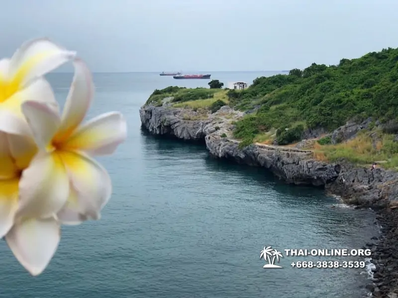 Остров желаний Ко Си Чанг купить экскурсию Паттайя Тайланд - фото 112