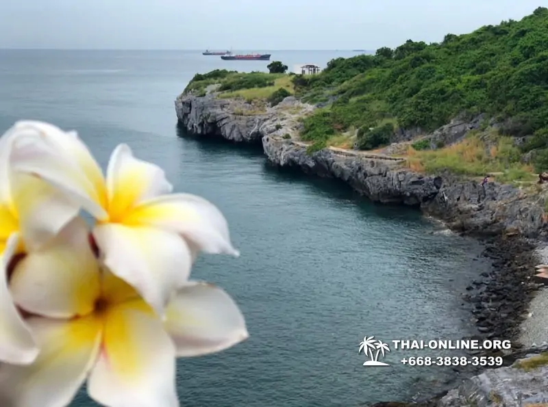 Остров желаний Ко Си Чанг купить экскурсию Паттайя Тайланд - фото 126