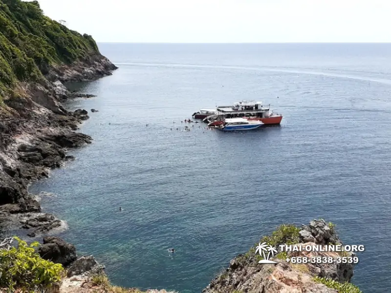 Остров с кроликами Ко Талу купить экскурсию Паттайя Тайланд фото 17