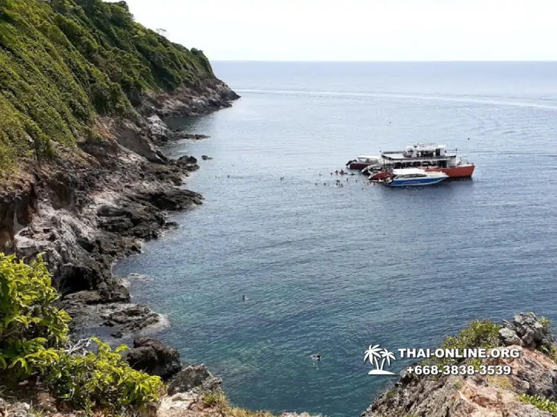 Остров с кроликами Ко Талу купить экскурсию Паттайя Тайланд фото 131