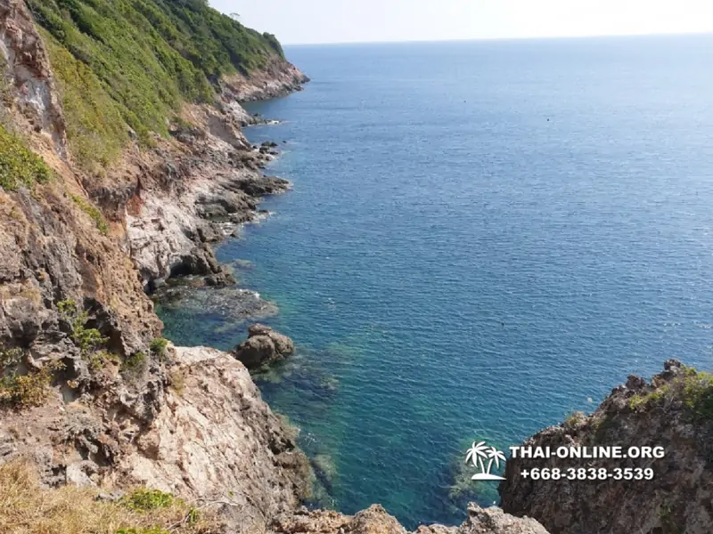 Остров с кроликами Ко Талу купить экскурсию Паттайя Тайланд фото 124