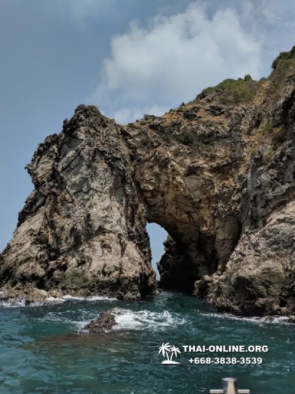 Остров с кроликами Ко Талу купить экскурсию Паттайя Тайланд фото 15