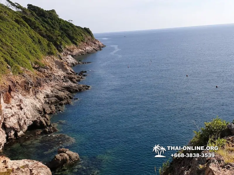 Остров с кроликами Ко Талу купить экскурсию Паттайя Тайланд фото 10