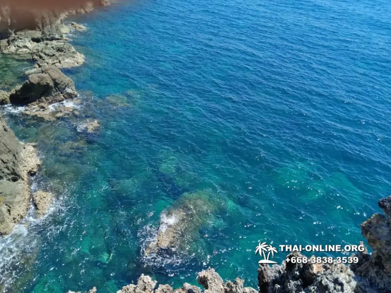 Остров с кроликами Ко Талу купить экскурсию Паттайя Тайланд фото 129