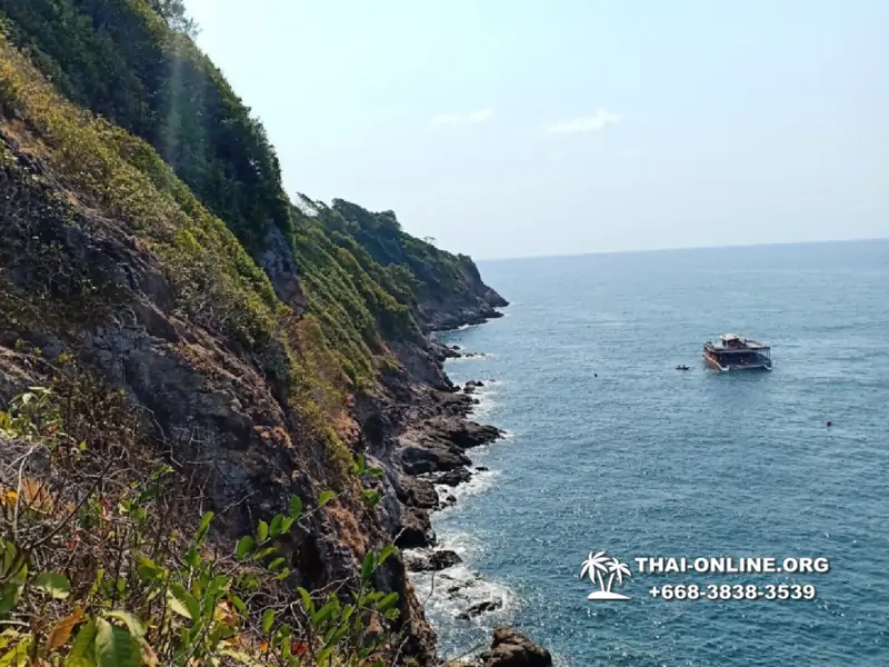 Остров с кроликами Ко Талу купить экскурсию Паттайя Тайланд фото 16