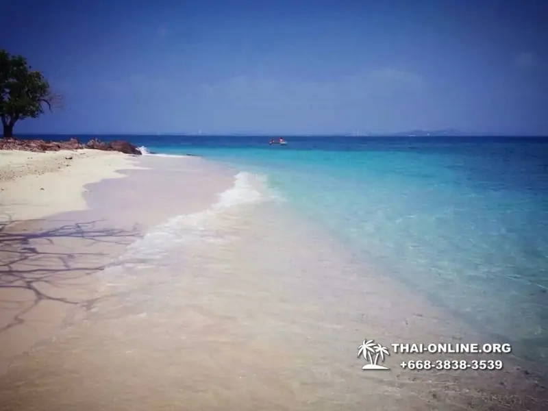 Остров с кроликами Ко Талу купить экскурсию Паттайя Тайланд фото 102