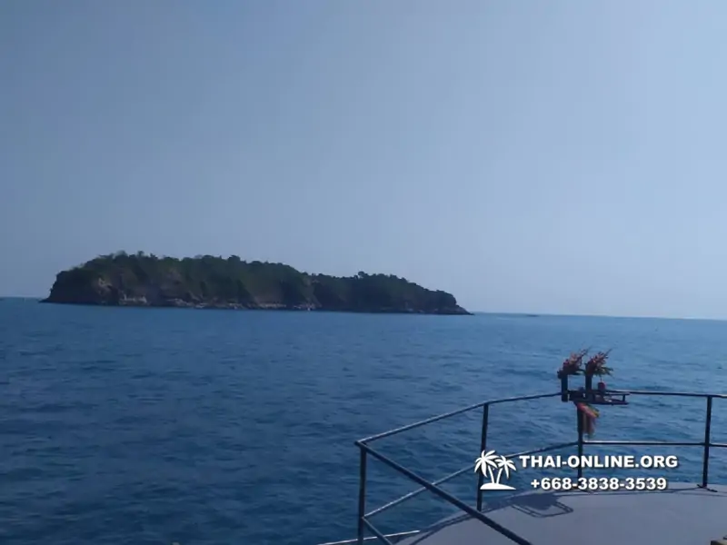 Остров с кроликами Ко Талу купить экскурсию Паттайя Тайланд фото 106
