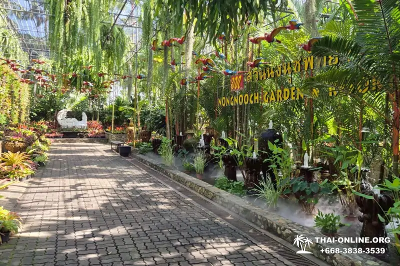 Нонг Нуч с ужином и шоу трансвеститов в Паттайе - фото тура 3