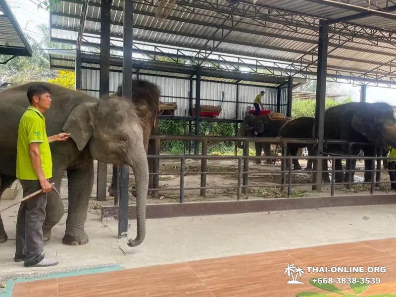 Siri Park and Zoo Дискавери Тур в Паттайе Таиланде фото экскурсии 28
