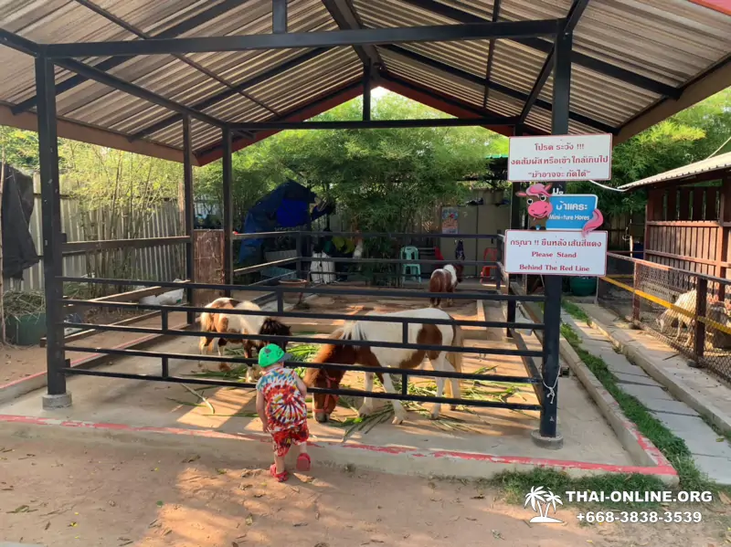Siri Park and Zoo Дискавери Тур в Паттайе Таиланде фото экскурсии 3