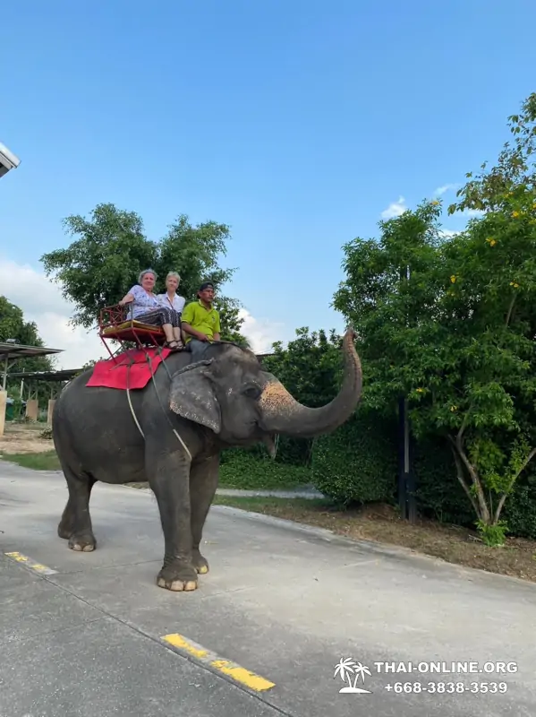 Siri Park and Zoo Дискавери Тур в Паттайе Таиланде фото экскурсии 39