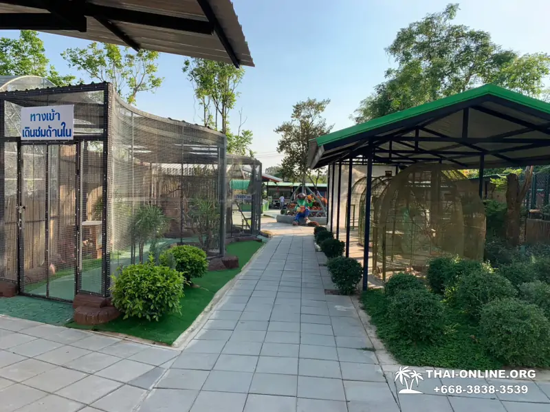 Siri Park and Zoo Дискавери Тур в Паттайе Таиланде фото экскурсии 10