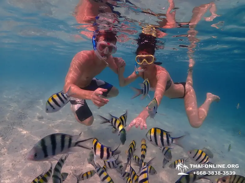 Остров Paradise турпоезка на Koh Chuang с Паттайи в Таиланде - фото 15
