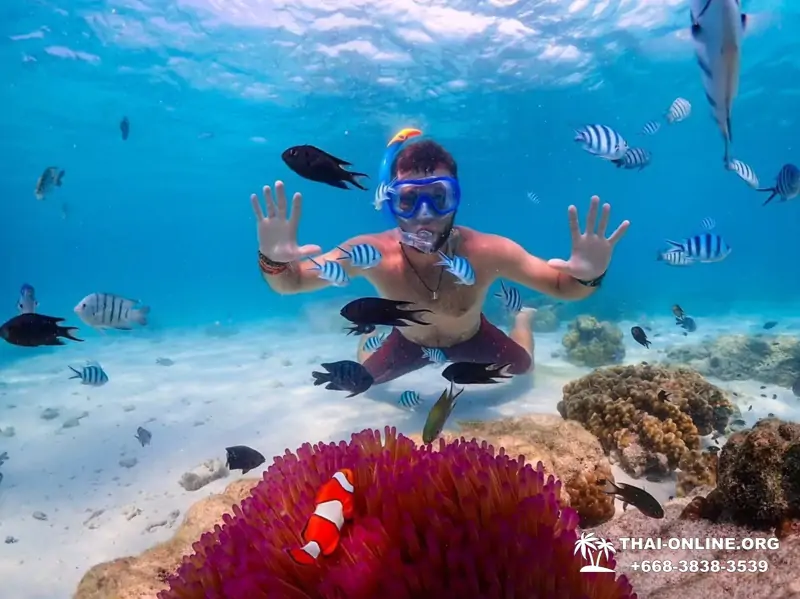 Остров Paradise турпоезка на Koh Chuang с Паттайи в Таиланде - фото 47