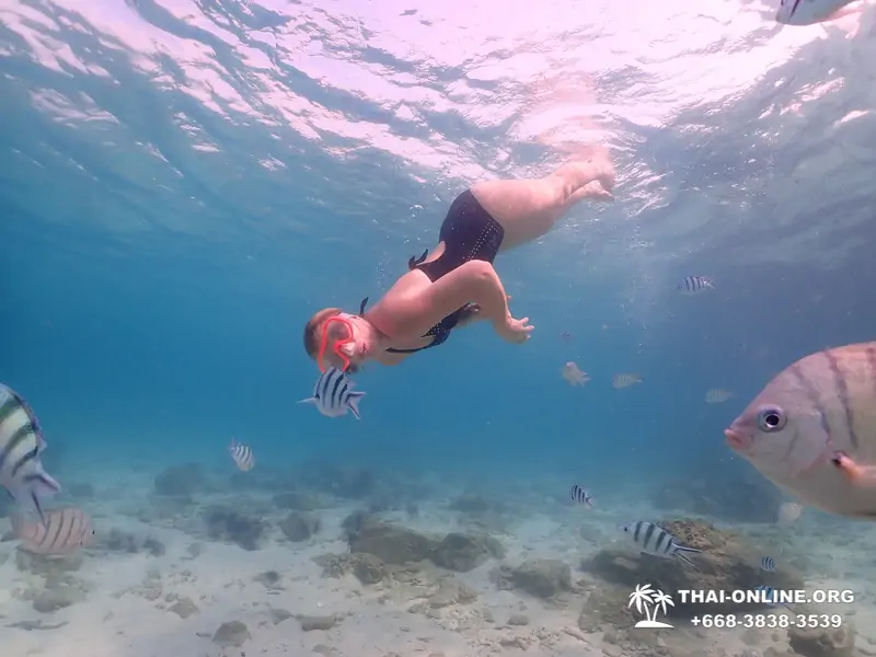 Остров Paradise турпоезка на Koh Chuang с Паттайи в Таиланде - фото 19