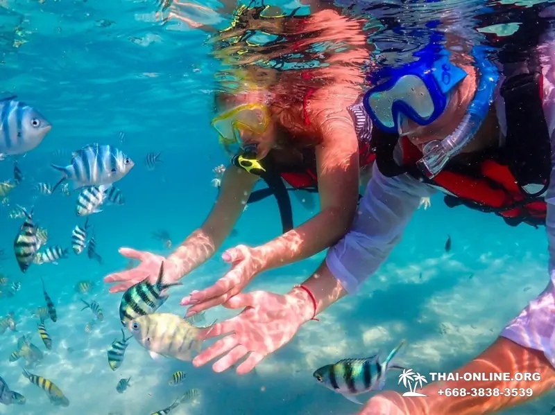 Остров Paradise турпоезка на Koh Chuang с Паттайи в Таиланде - фото 33
