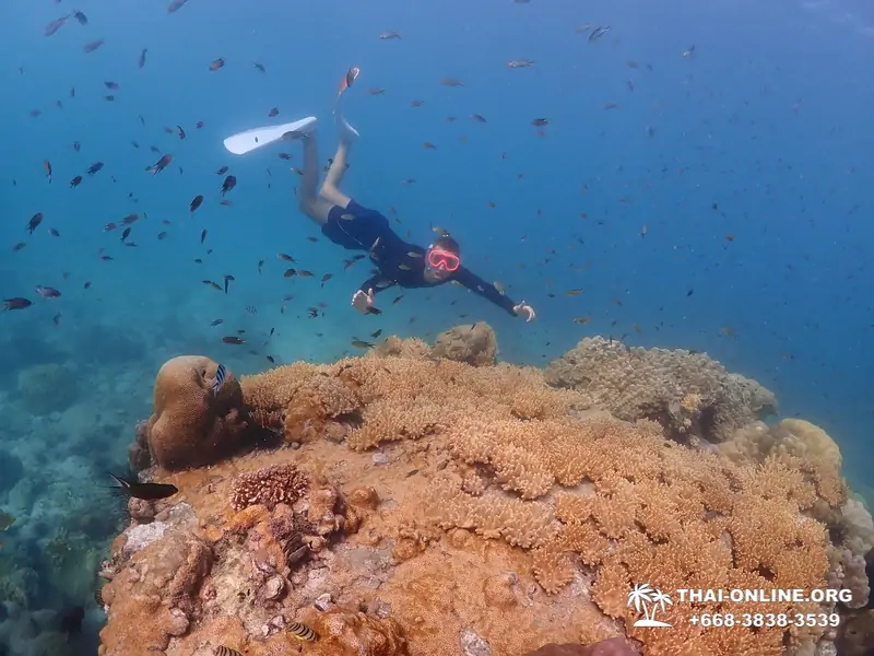Остров Paradise турпоезка на Koh Chuang с Паттайи в Таиланде - фото 2