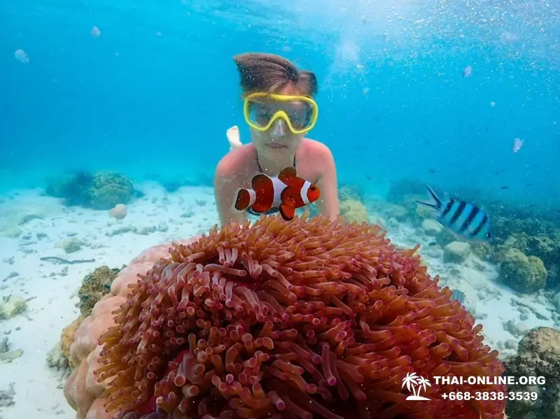 Остров Paradise турпоезка на Koh Chuang с Паттайи в Таиланде - фото 41