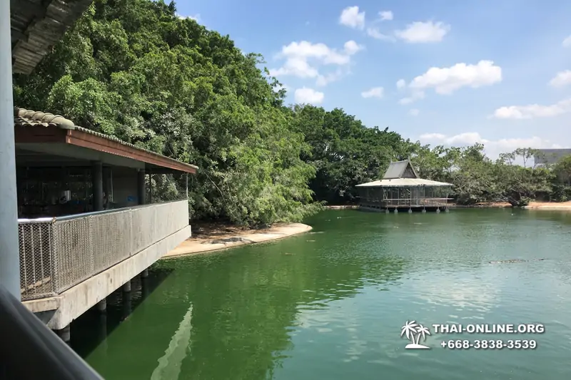 Паттайя Крокодиловая Ферма экскурсия с компанией Magic Thai Online - фото 135