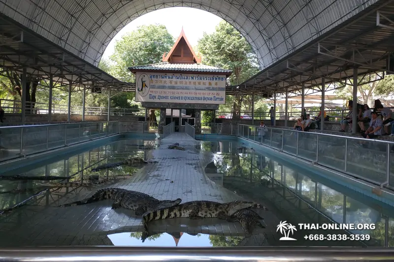 Паттайя Крокодиловая Ферма экскурсия с компанией Magic Thai Online - фото 71