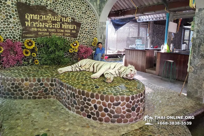 Паттайя Крокодиловая Ферма экскурсия с компанией Magic Thai Online - фото 40
