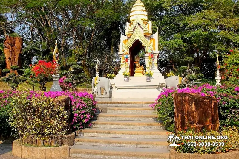 Паттайя Крокодиловая Ферма экскурсия с компанией Magic Thai Online - фото 20